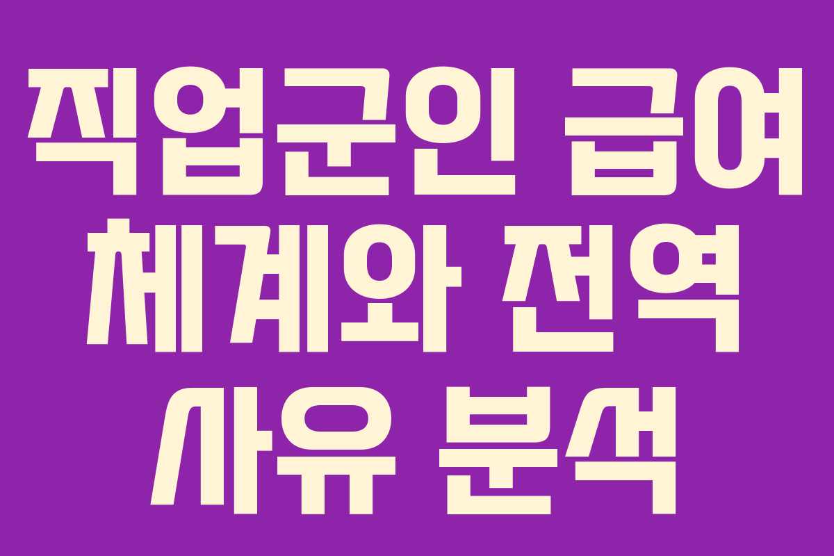 직업군인 급여 체계와 전역 사유 분석