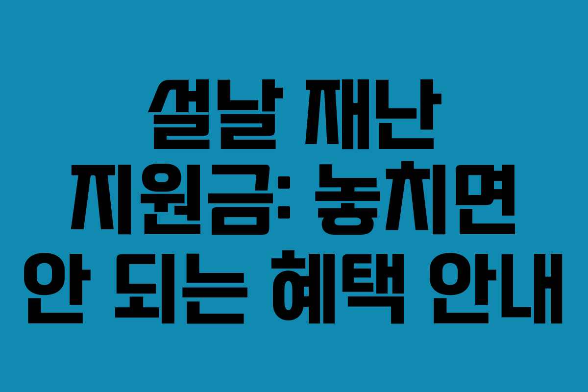설날 재난 지원금: 놓치면 안 되는 혜택 안내