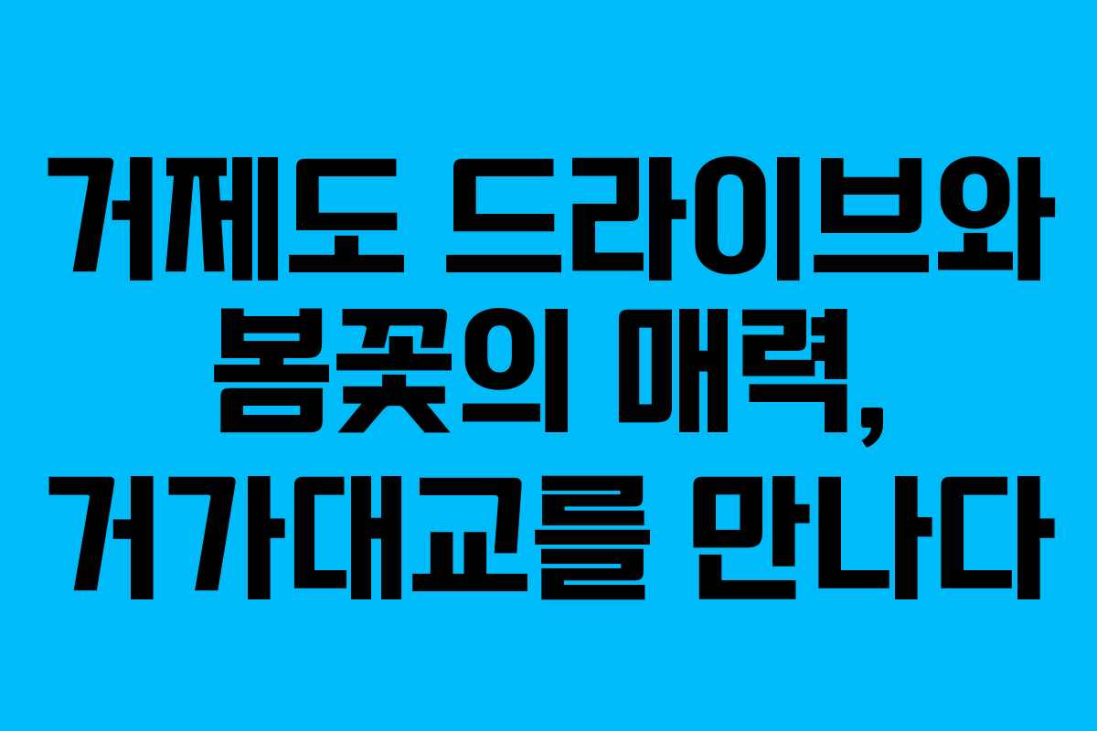 거제도 드라이브와 봄꽃의 매력, 거가대교를 만나다