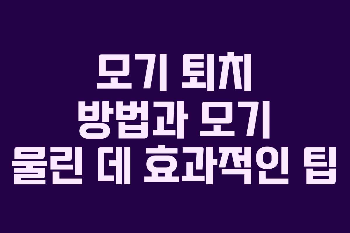 모기 퇴치 방법과 모기 물린 데 효과적인 팁