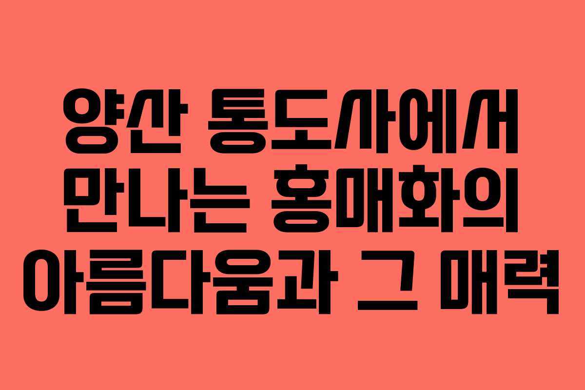 양산 통도사에서 만나는 홍매화의 아름다움과 그 매력