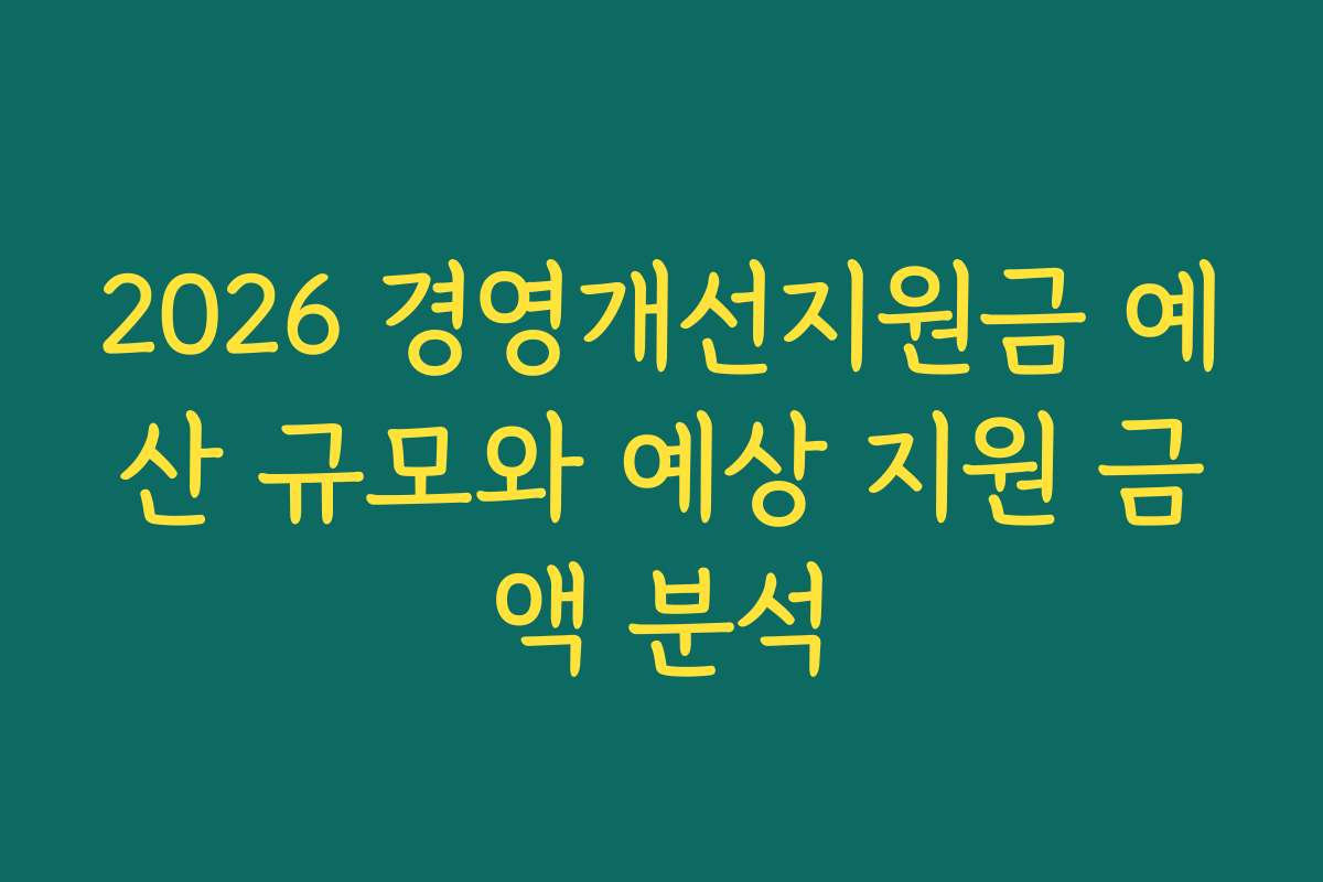 2026 경영개선지원금 예산 규모와 예상 지원 금액 분석