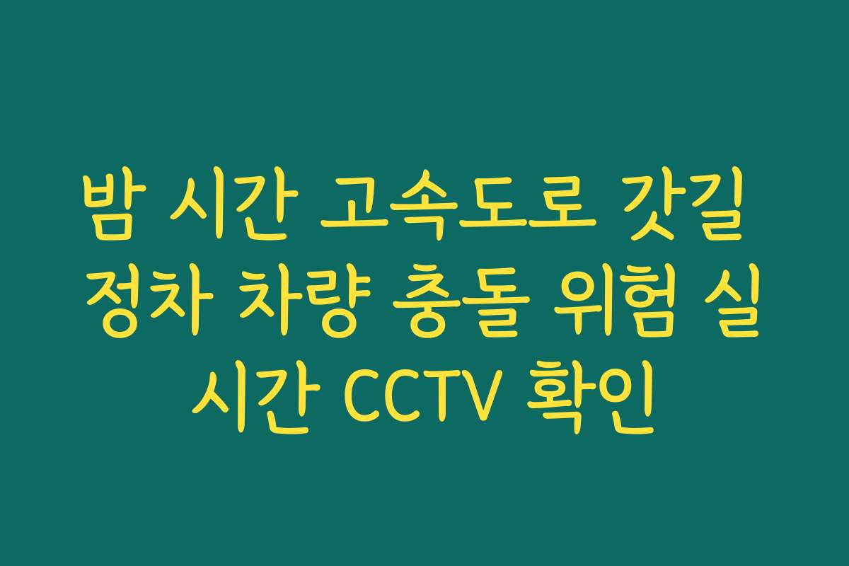 밤 시간 고속도로 갓길 정차 차량 충돌 위험 실시간 CCTV 확인