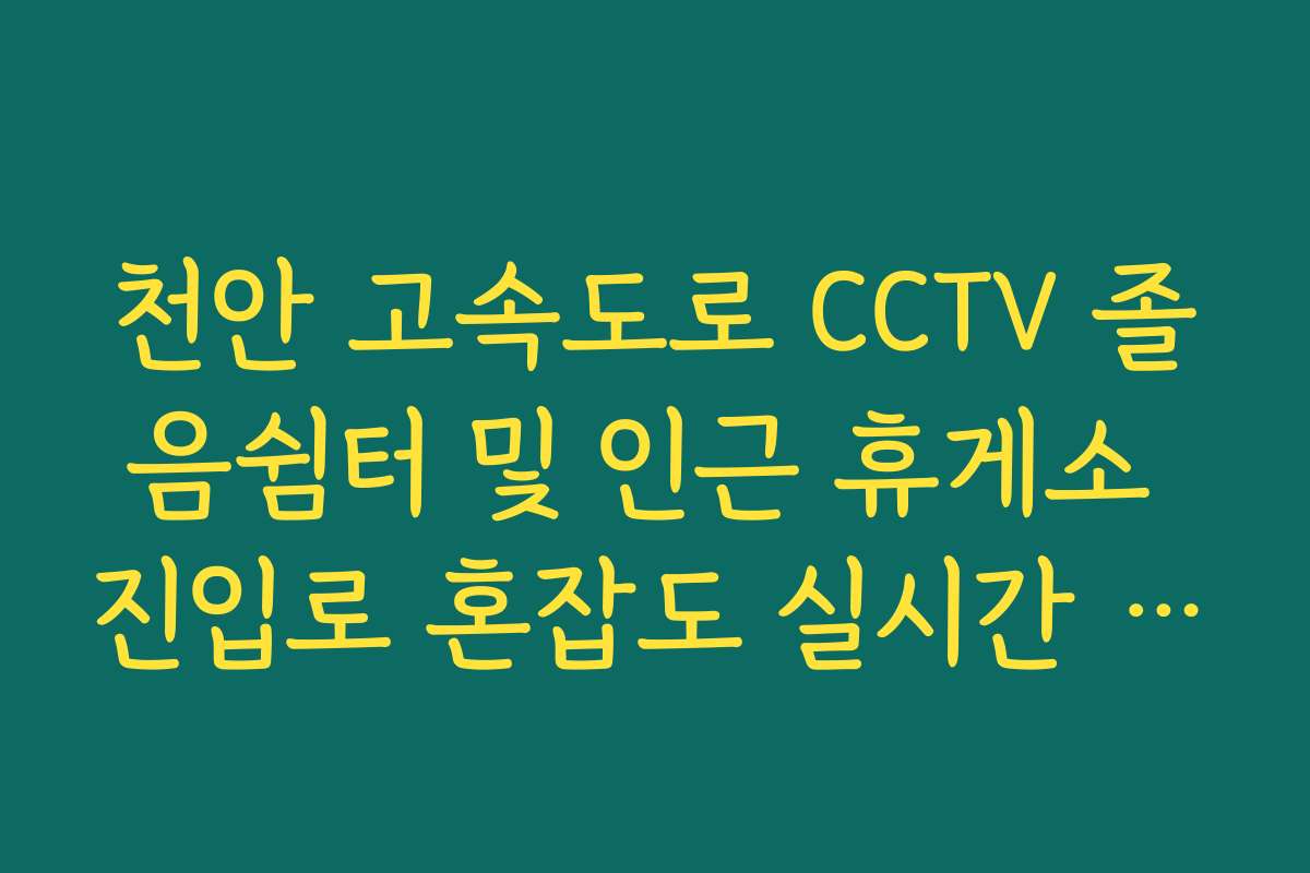 천안 고속도로 CCTV 졸음쉼터 및 인근 휴게소 진입로 혼잡도 실시간 체크