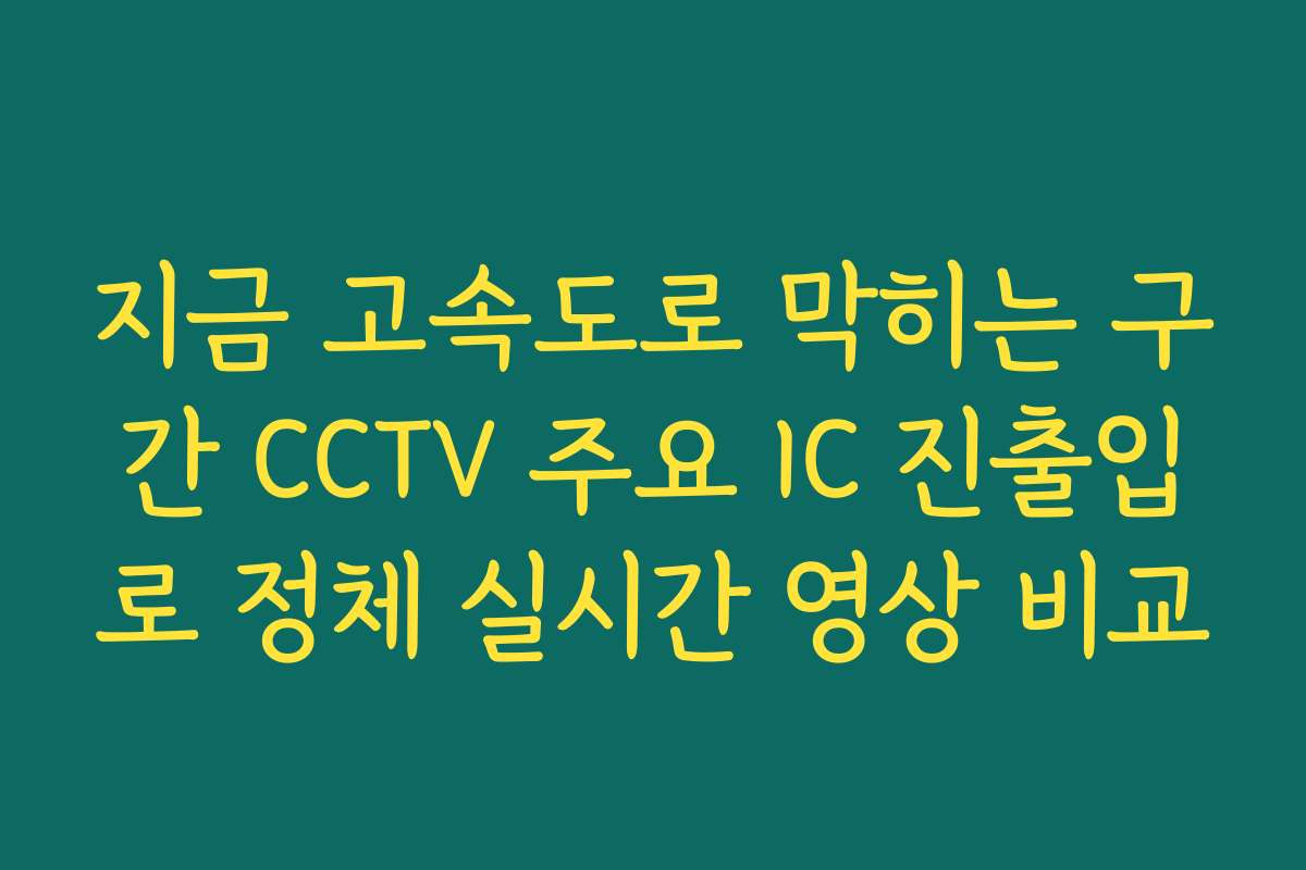 지금 고속도로 막히는 구간 CCTV 주요 IC 진출입로 정체 실시간 영상 비교