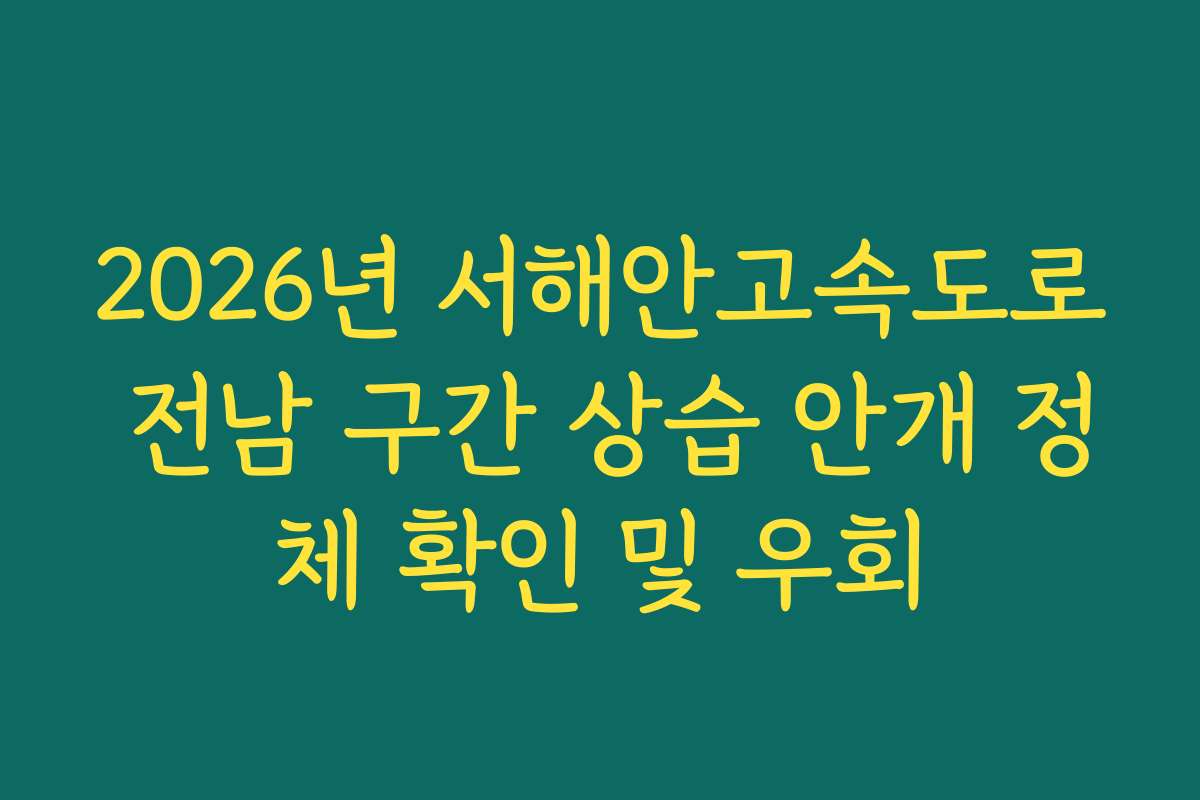 2026년 서해안고속도로 전남 구간 상습 안개 정체 확인 및 우회