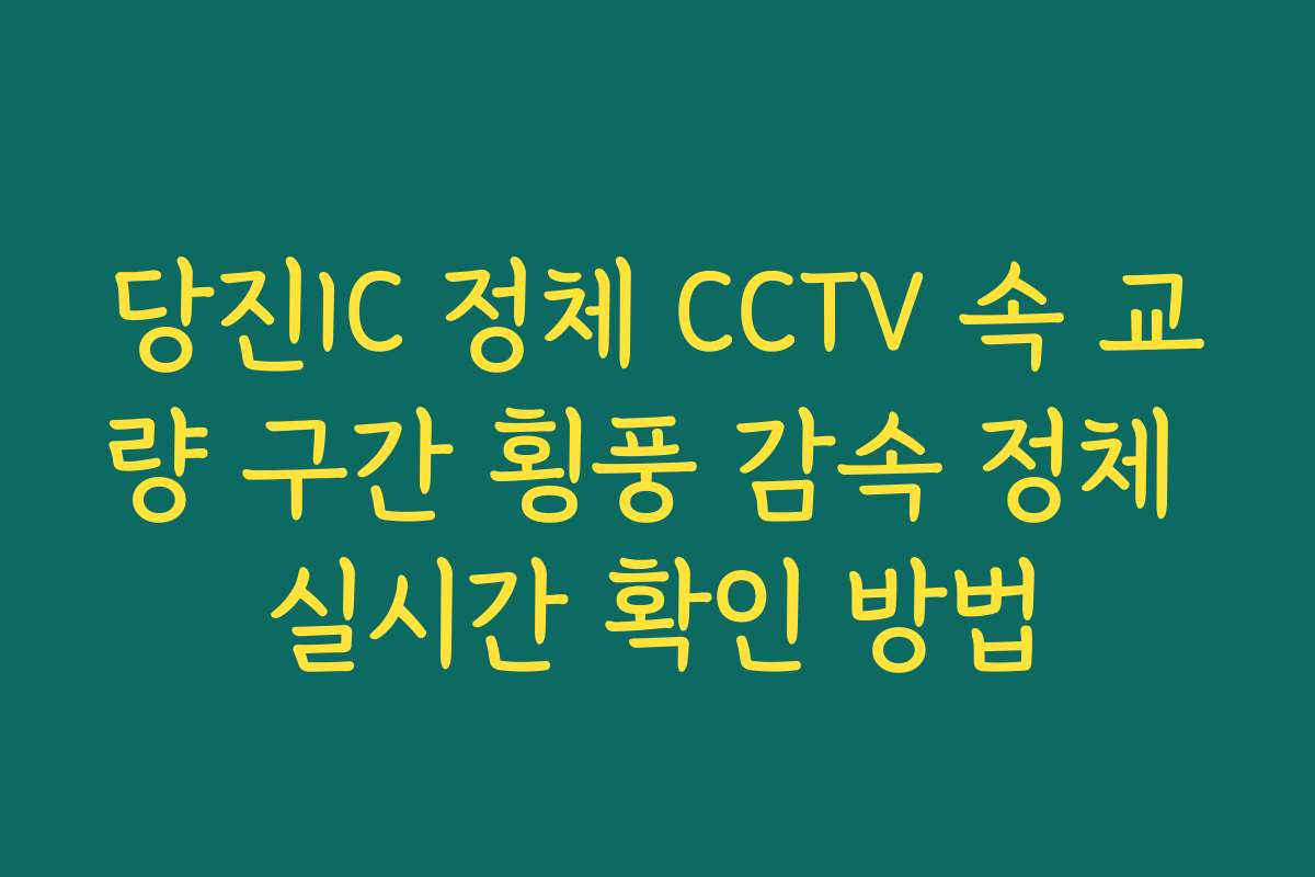 당진IC 정체 CCTV 속 교량 구간 횡풍 감속 정체 실시간 확인 방법