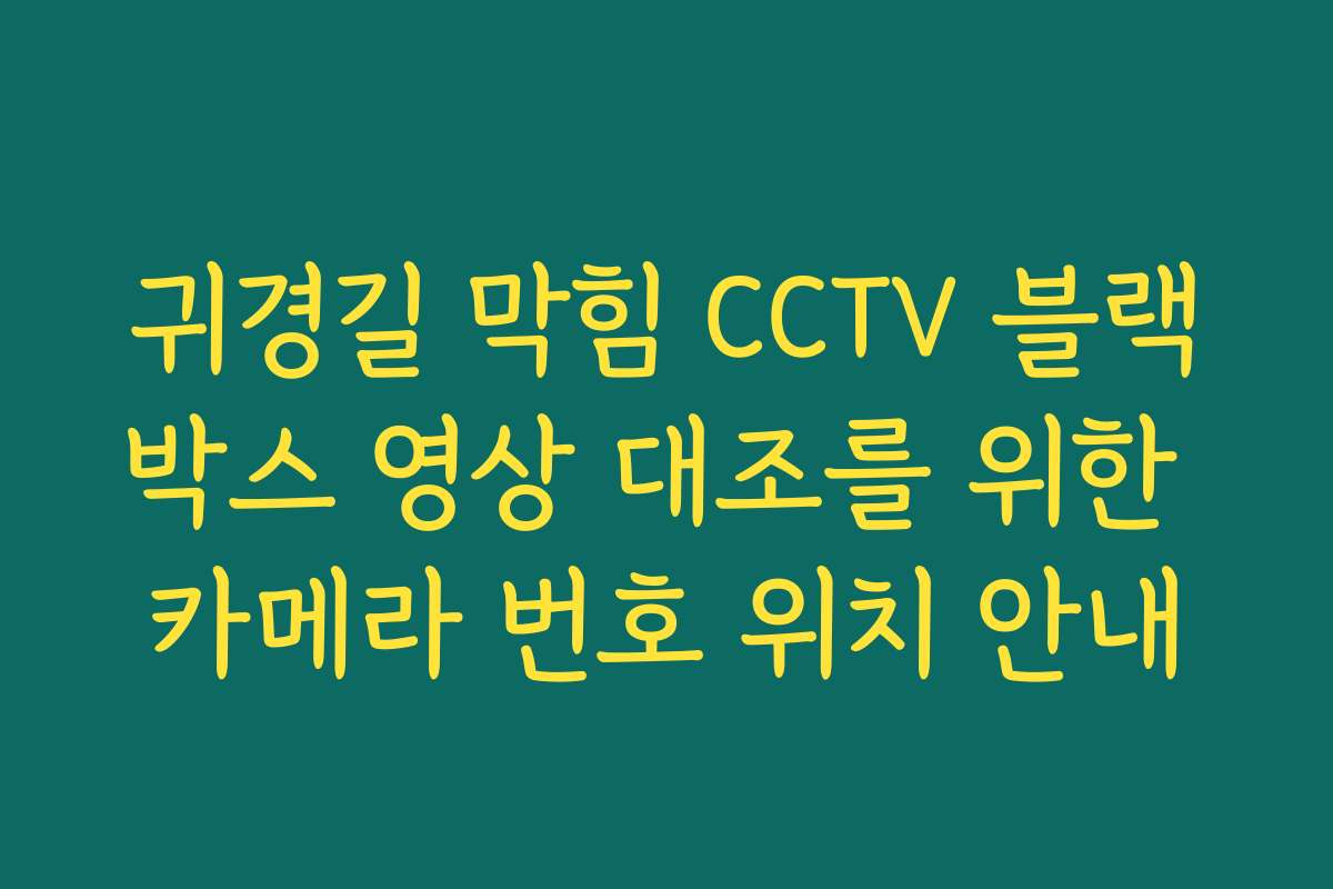 귀경길 막힘 CCTV 블랙박스 영상 대조를 위한 카메라 번호 위치 안내