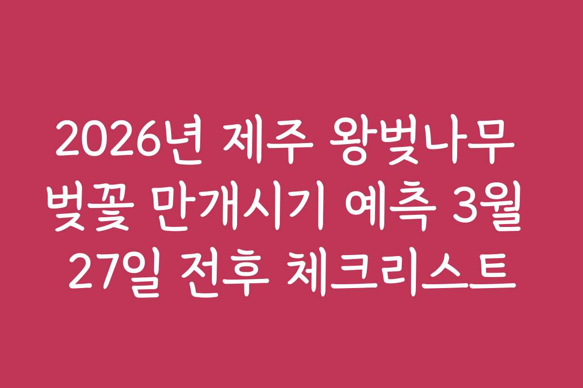 2026년 제주 왕벚나무 벚꽃 만개시기 예측 3월 27일 전후 체크리스트