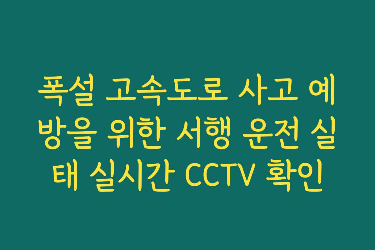 폭설 고속도로 사고 예방을 위한 서행 운전 실태 실시간 CCTV 확인
