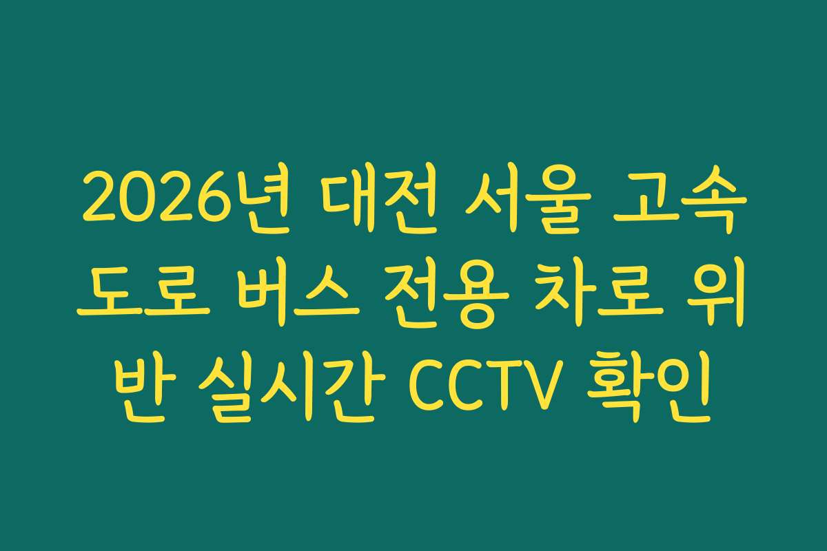 2026년 대전 서울 고속도로 버스 전용 차로 위반 실시간 CCTV 확인