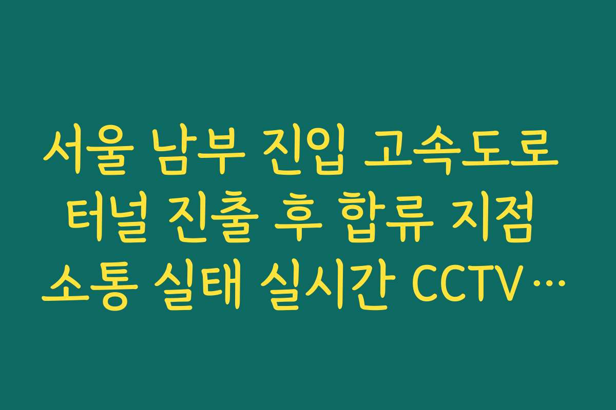 서울 남부 진입 고속도로 터널 진출 후 합류 지점 소통 실태 실시간 CCTV 확인
