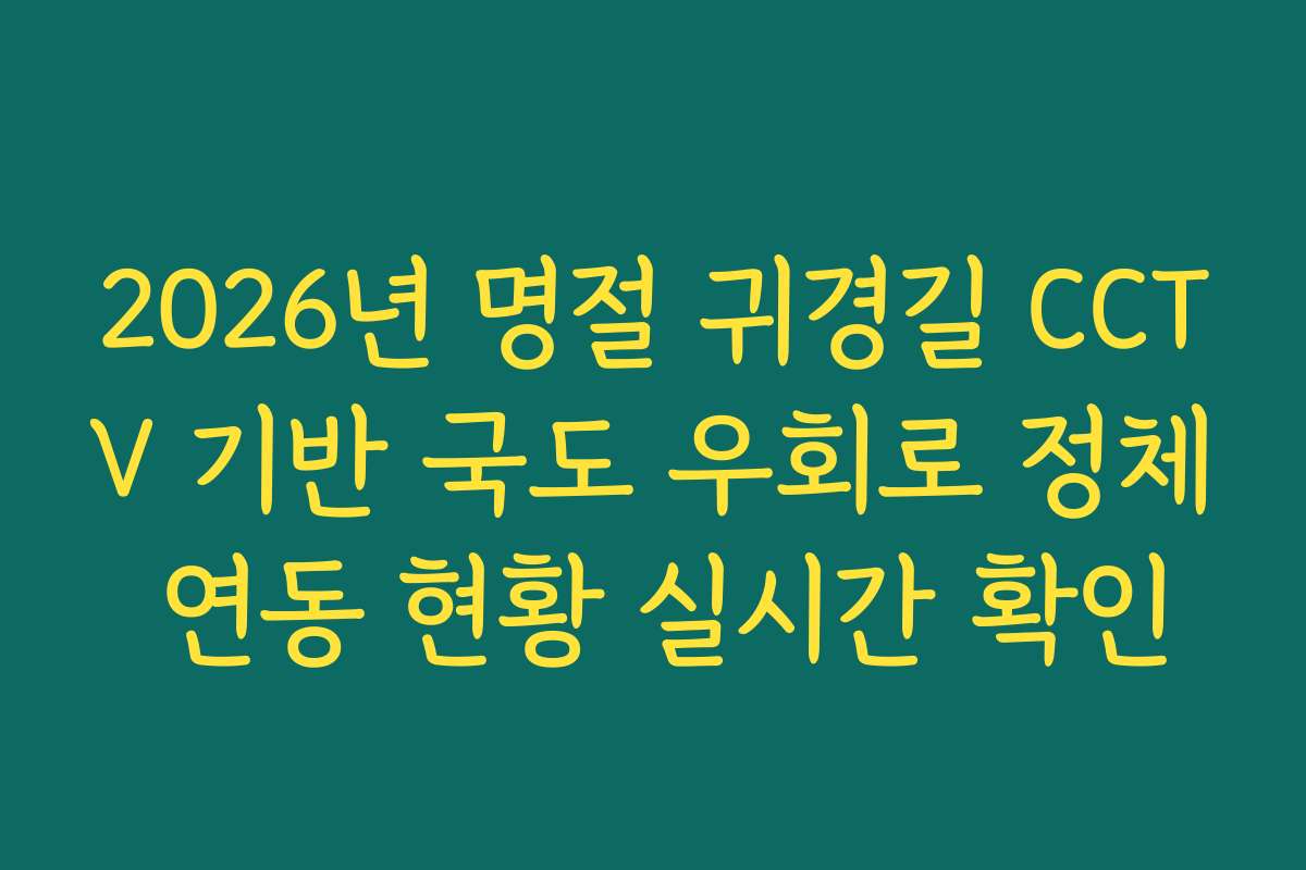 2026년 명절 귀경길 CCTV 기반 국도 우회로 정체 연동 현황 실시간 확인
