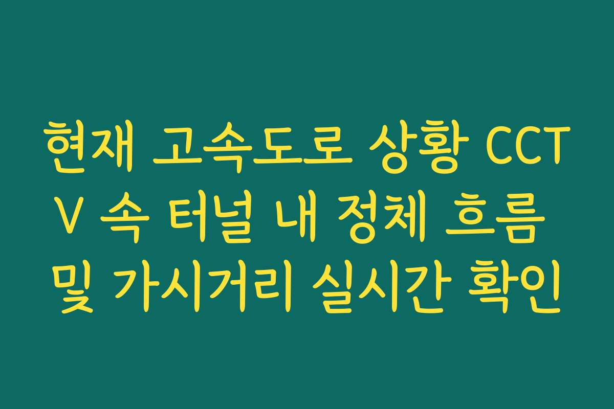 현재 고속도로 상황 CCTV 속 터널 내 정체 흐름 및 가시거리 실시간 확인