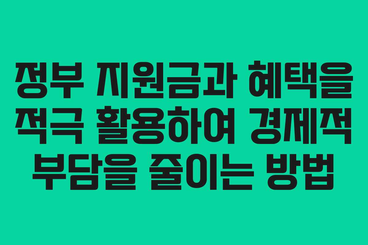 정부 지원금과 혜택을 적극 활용하여 경제적 부담을 줄이는 방법