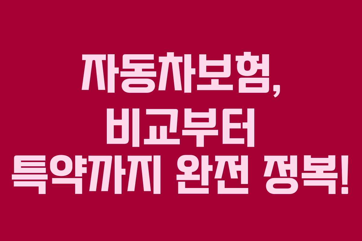 자동차보험, 비교부터 특약까지 완전 정복!
