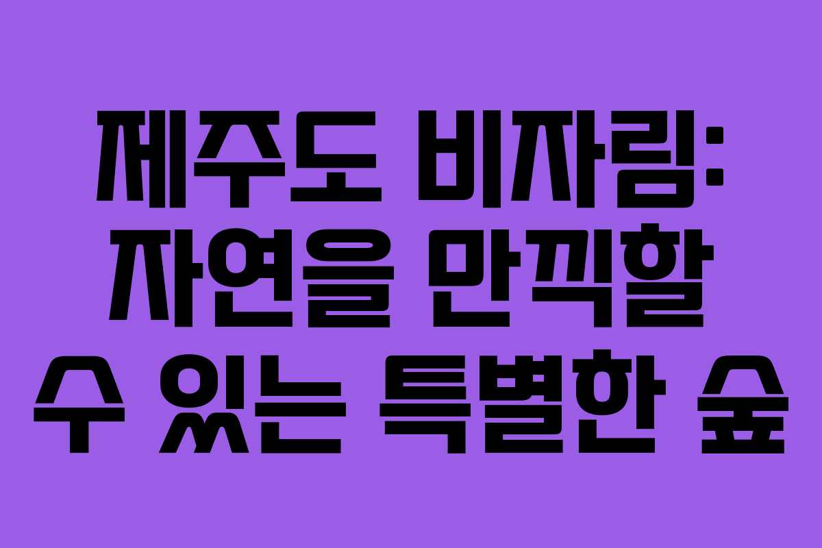 제주도 비자림: 자연을 만끽할 수 있는 특별한 숲