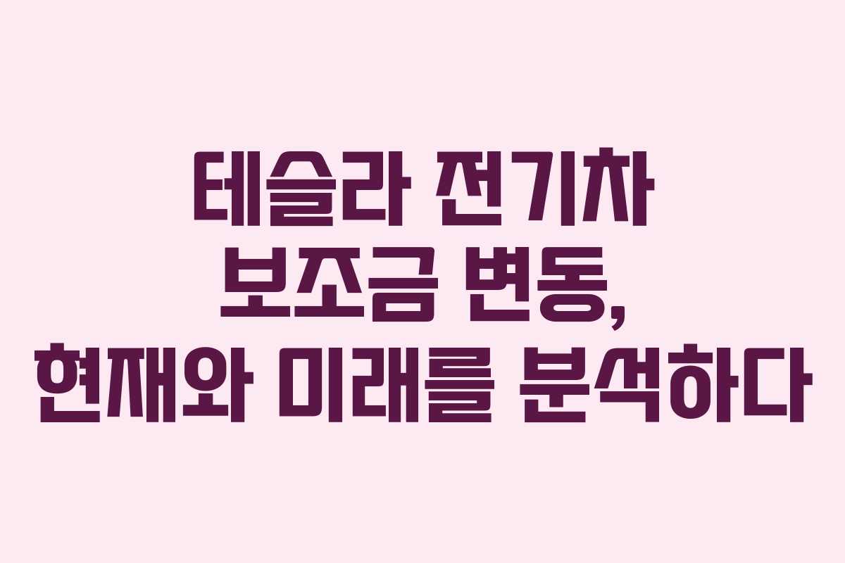 테슬라 전기차 보조금 변동, 현재와 미래를 분석하다