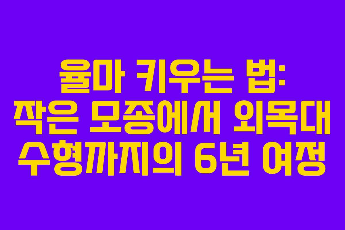 율마 키우는 법: 작은 모종에서 외목대 수형까지의 6년 여정