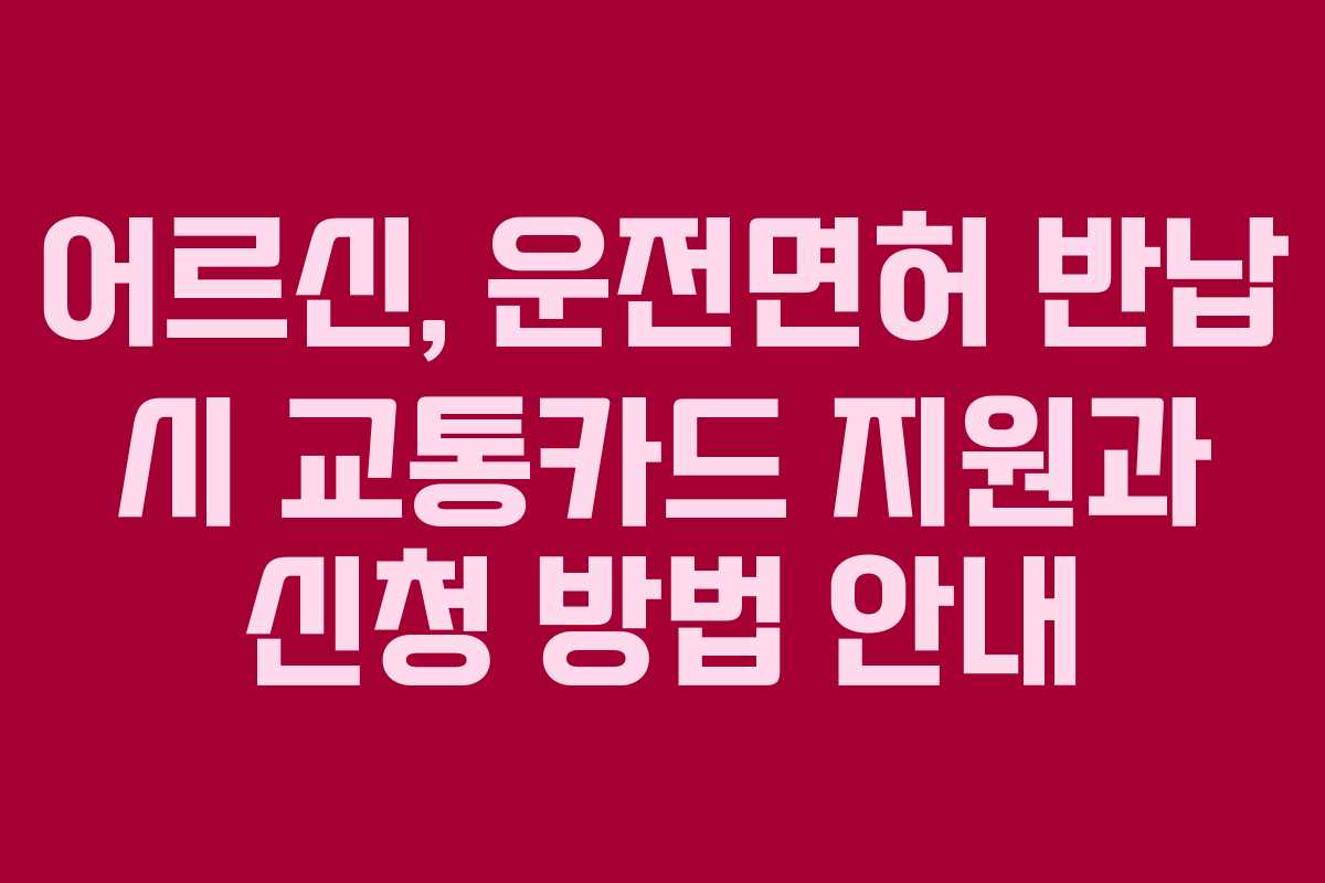 어르신, 운전면허 반납 시 교통카드 지원과 신청 방법 안내