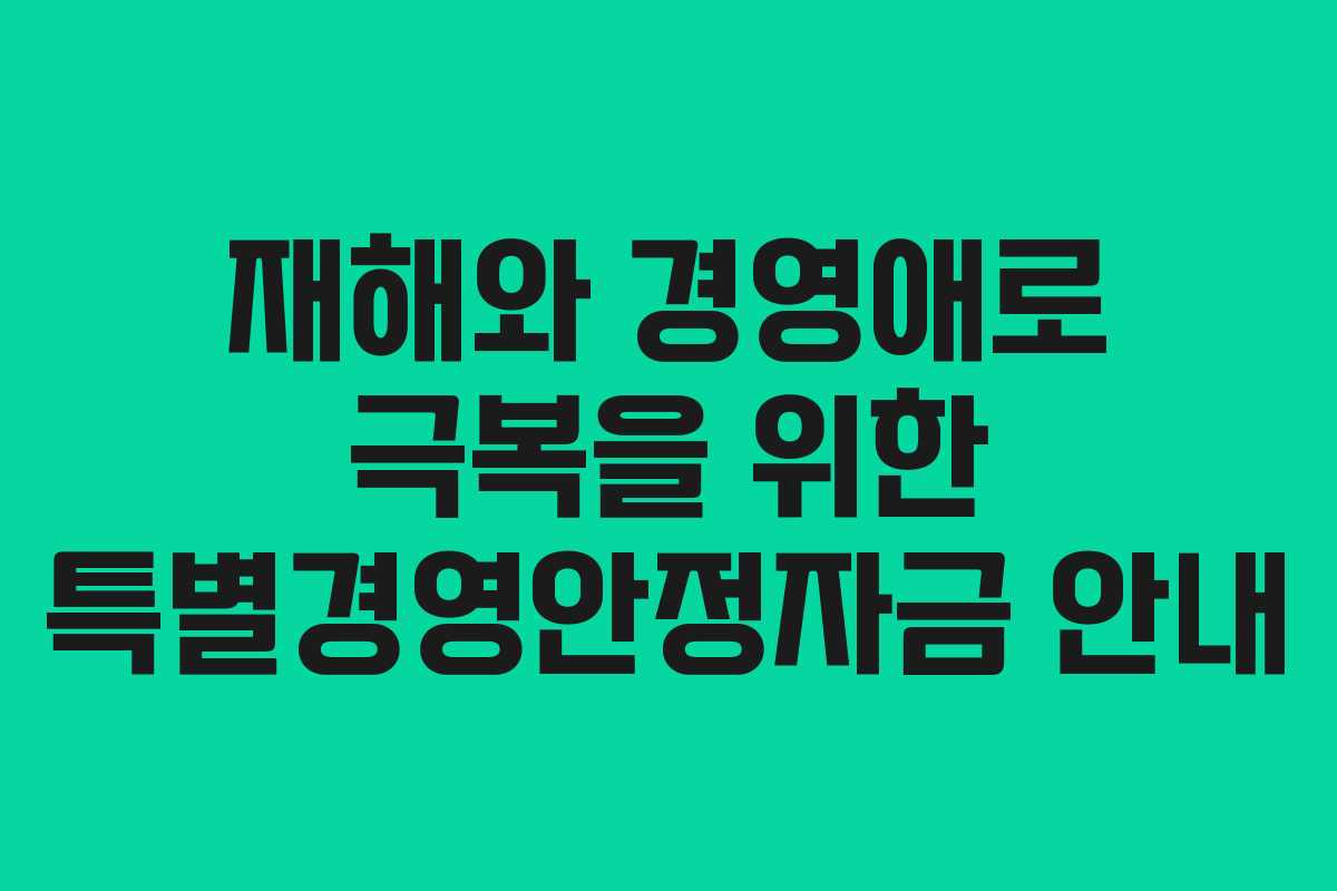 재해와 경영애로 극복을 위한 특별경영안정자금 안내