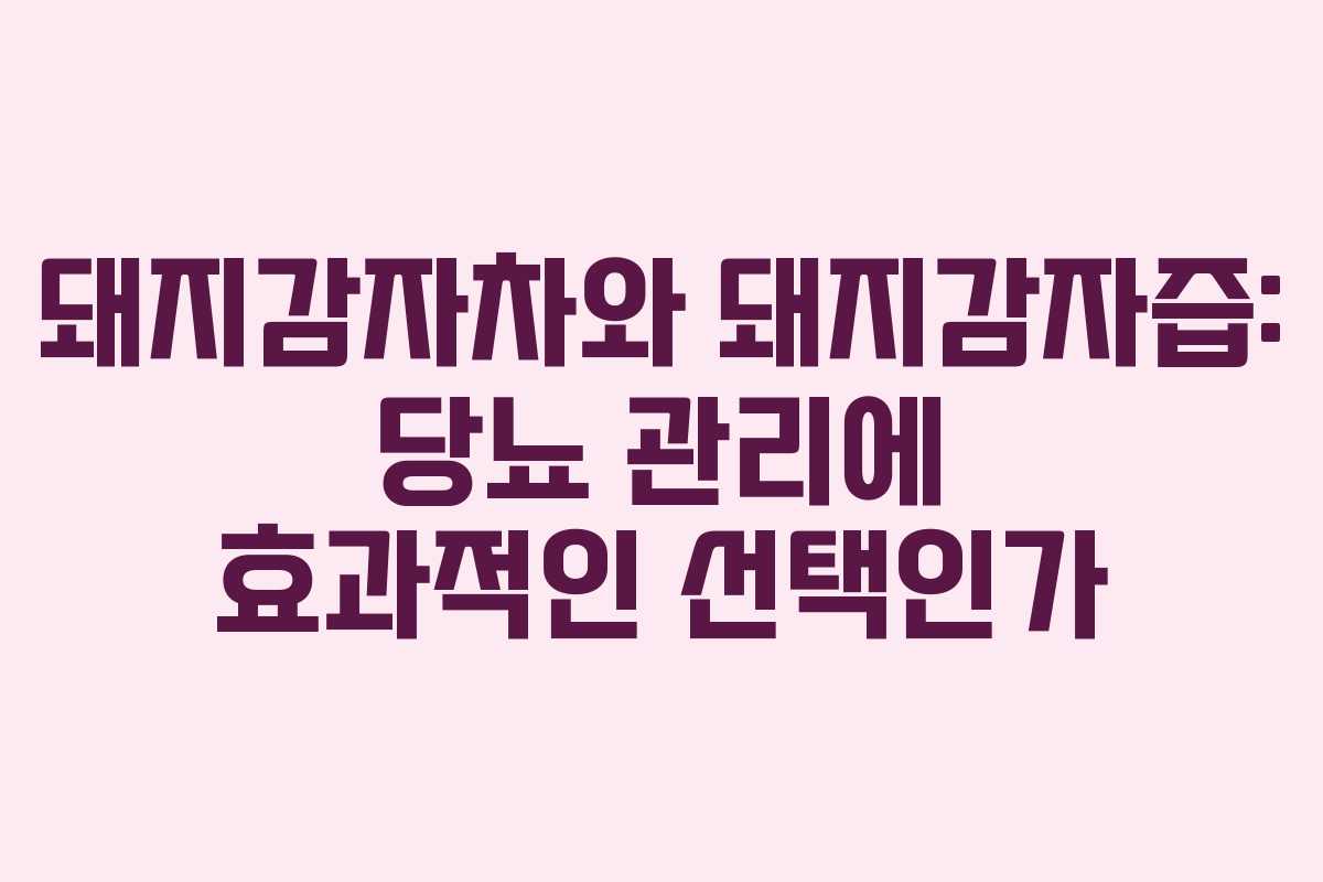 돼지감자차와 돼지감자즙: 당뇨 관리에 효과적인 선택인가