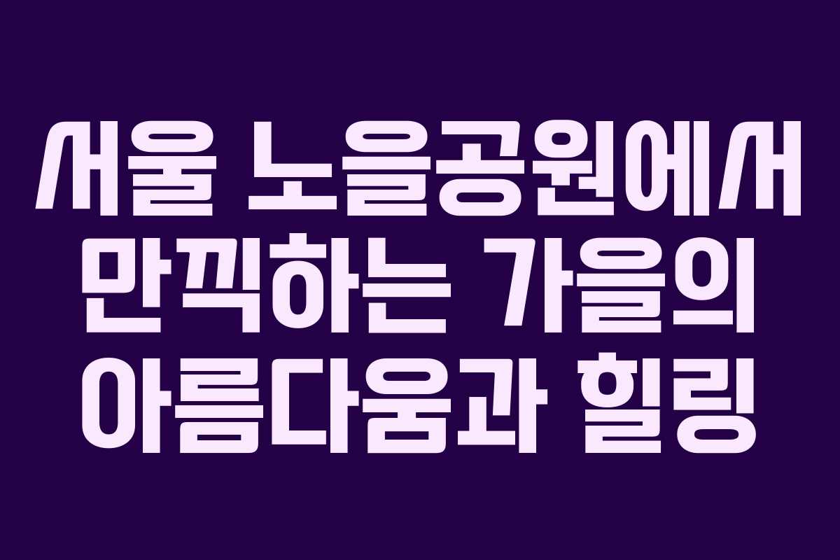 서울 노을공원에서 만끽하는 가을의 아름다움과 힐링