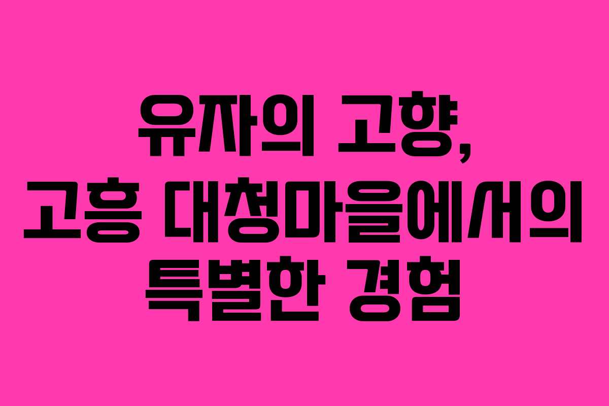 유자의 고향, 고흥 대청마을에서의 특별한 경험