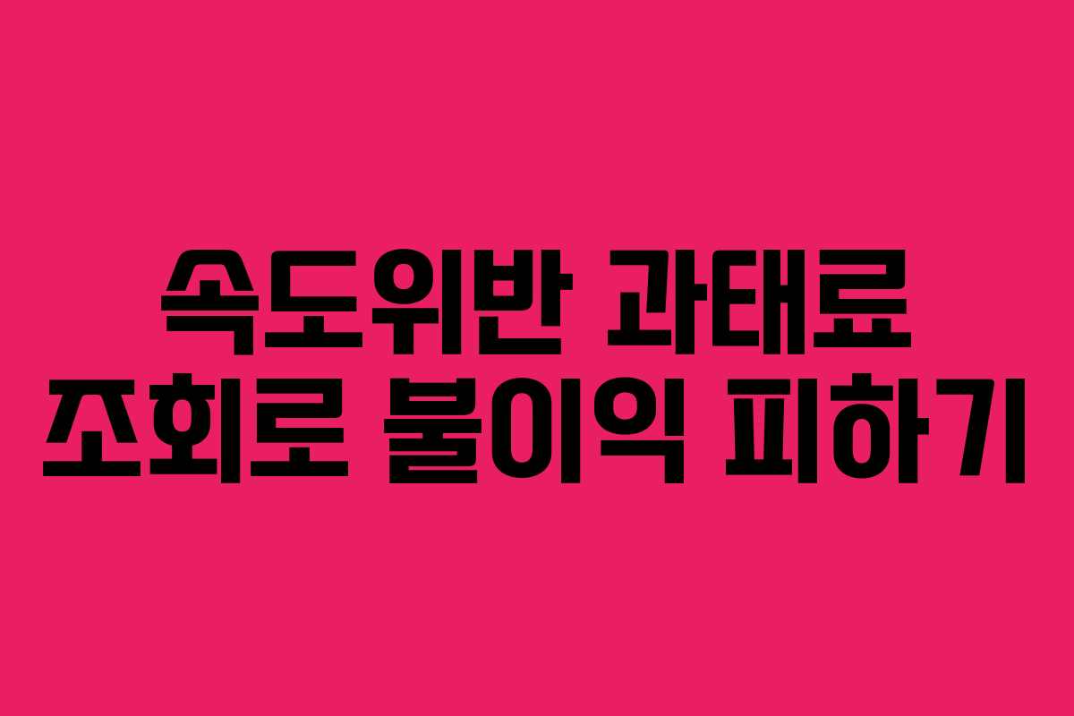 속도위반 과태료 조회로 불이익 피하기