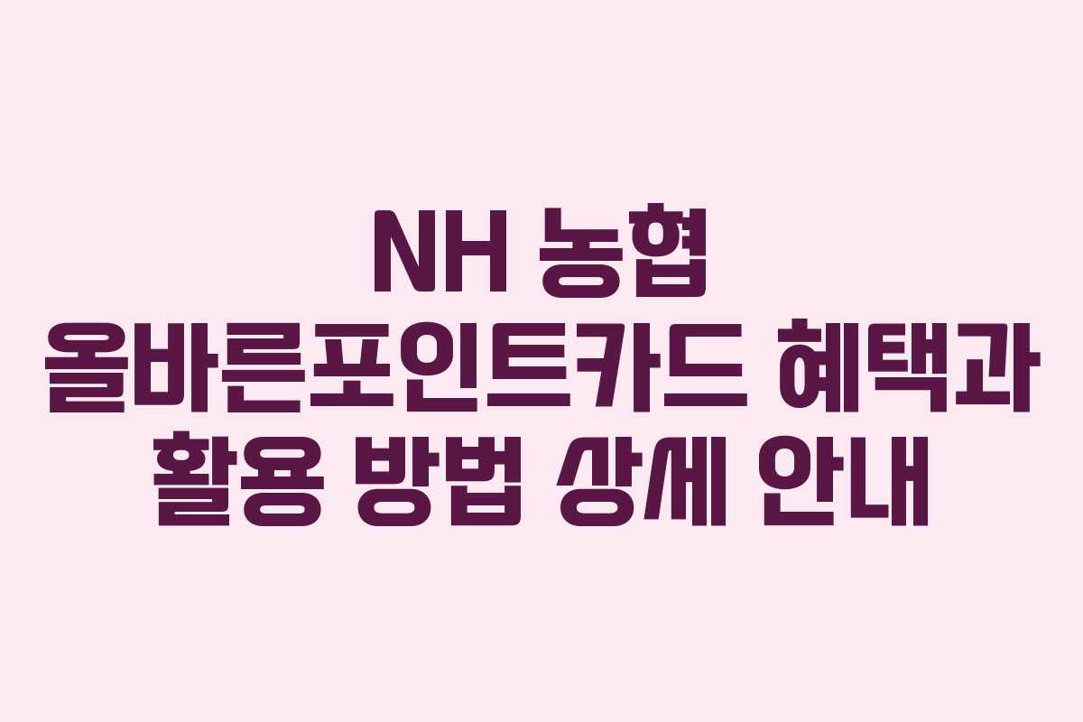NH 농협 올바른포인트카드 혜택과 활용 방법 상세 안내