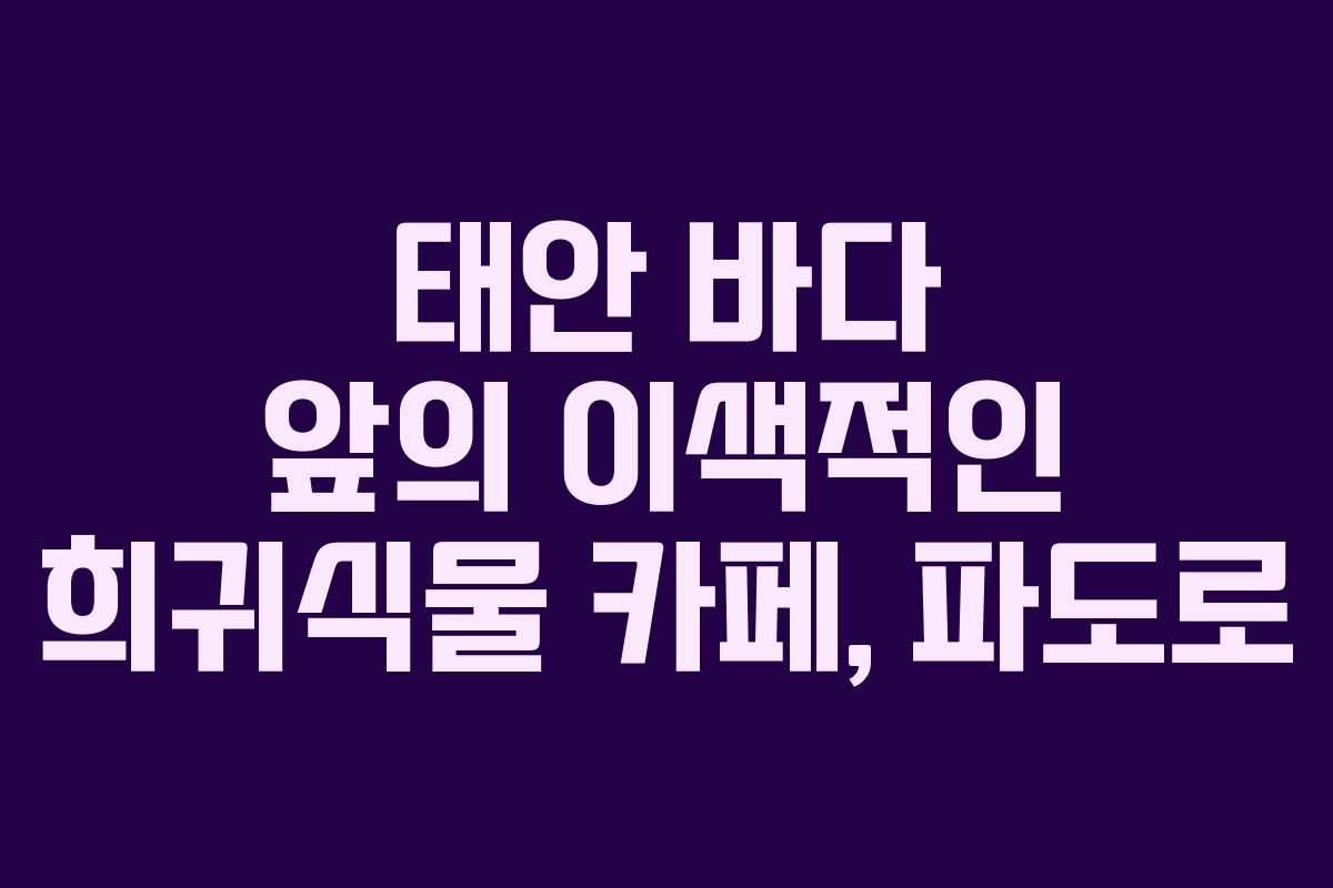 태안 바다 앞의 이색적인 희귀식물 카페, 파도로