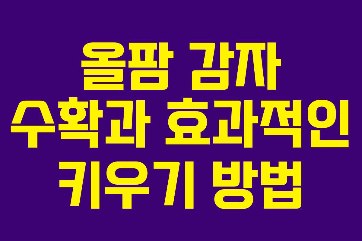 올팜 감자 수확과 효과적인 키우기 방법