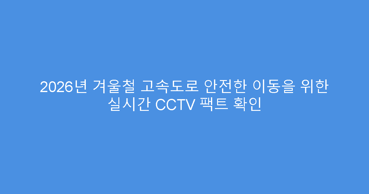 2026년 겨울철 고속도로 안전한 이동을 위한 실시간 CCTV 팩트 확인