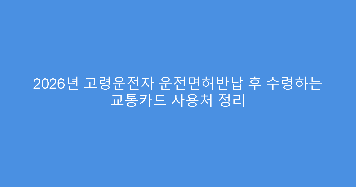 2026년 고령운전자 운전면허반납 후 수령하는 교통카드 사용처 정리
