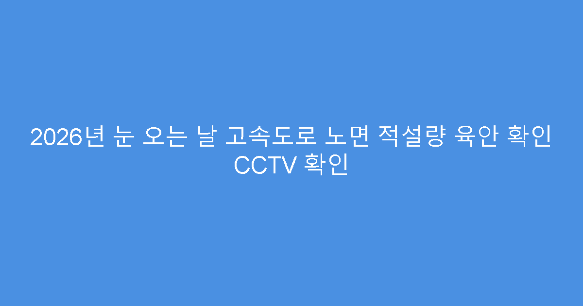 2026년 눈 오는 날 고속도로 노면 적설량 육안 확인 CCTV 확인