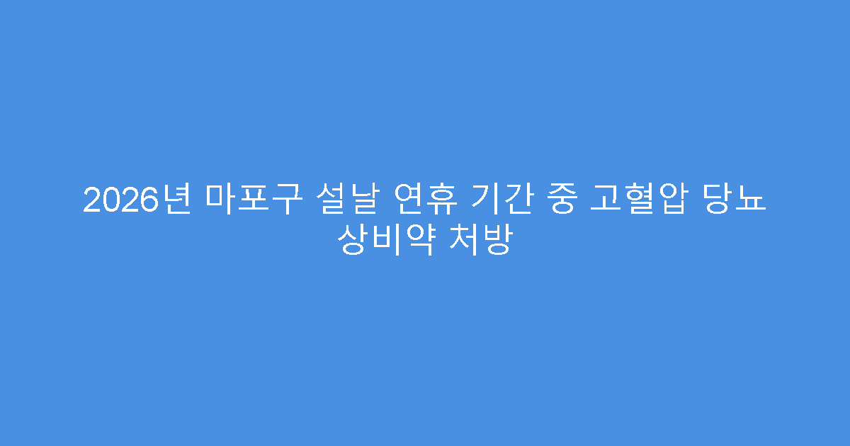 2026년 마포구 설날 연휴 기간 중 고혈압 당뇨 상비약 처방