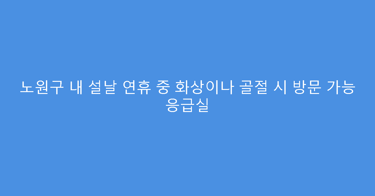 노원구 내 설날 연휴 중 화상이나 골절 시 방문 가능 응급실