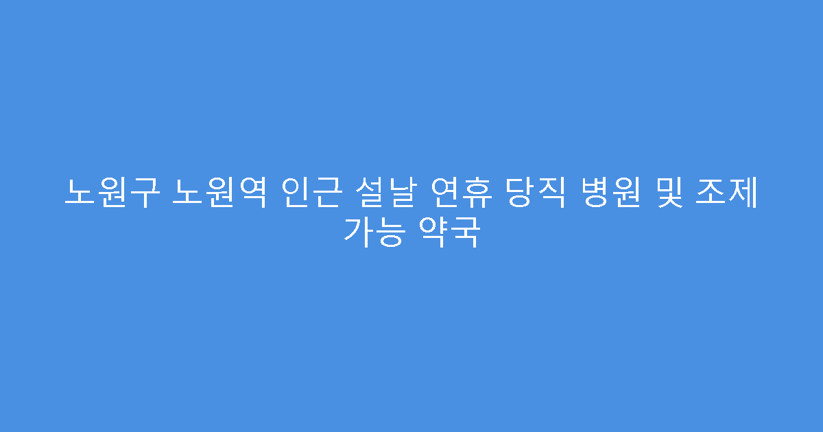 노원구 노원역 인근 설날 연휴 당직 병원 및 조제 가능 약국