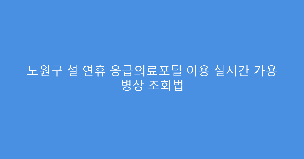 노원구 설 연휴 응급의료포털 이용 실시간 가용 병상 조회법
