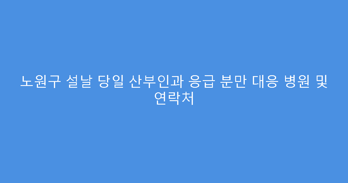 노원구 설날 당일 산부인과 응급 분만 대응 병원 및 연락처