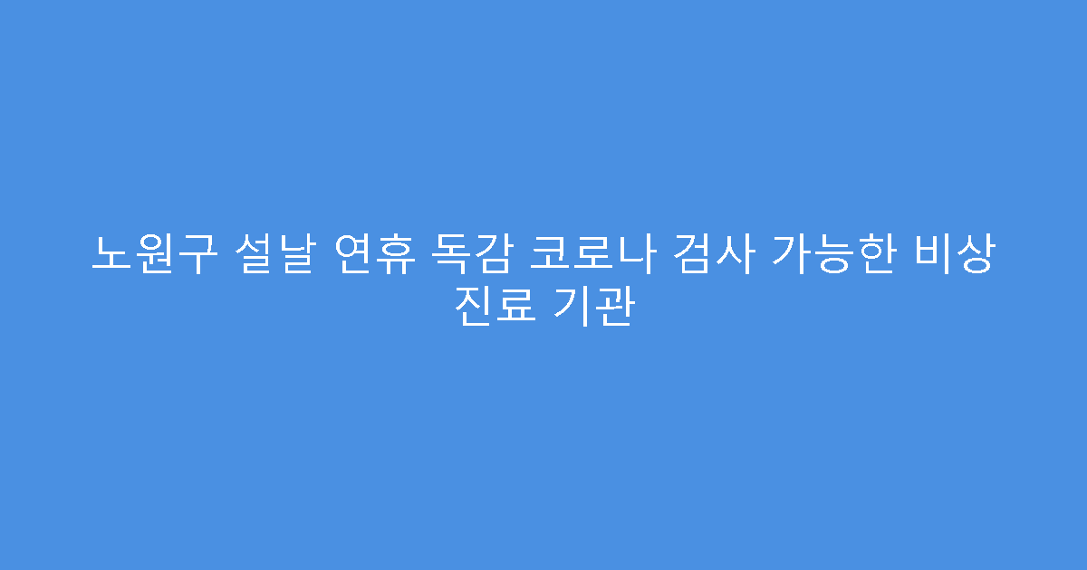 노원구 설날 연휴 독감 코로나 검사 가능한 비상 진료 기관