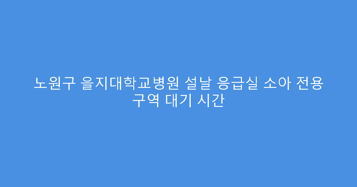 노원구 을지대학교병원 설날 응급실 소아 전용 구역 대기 시간