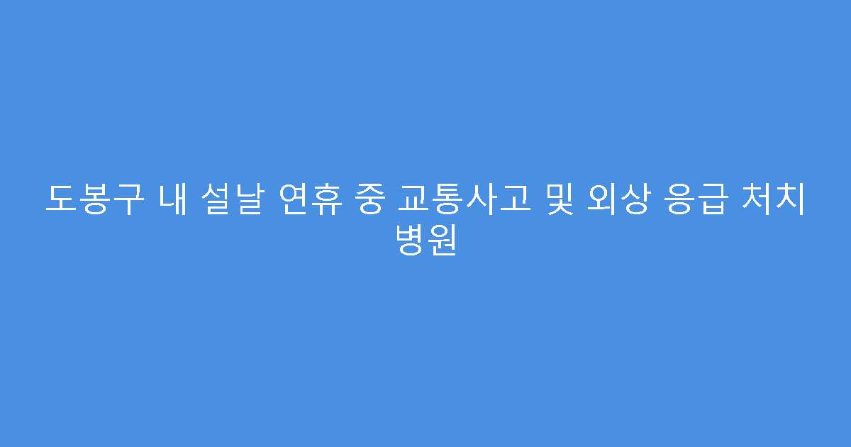 도봉구 내 설날 연휴 중 교통사고 및 외상 응급 처치 병원