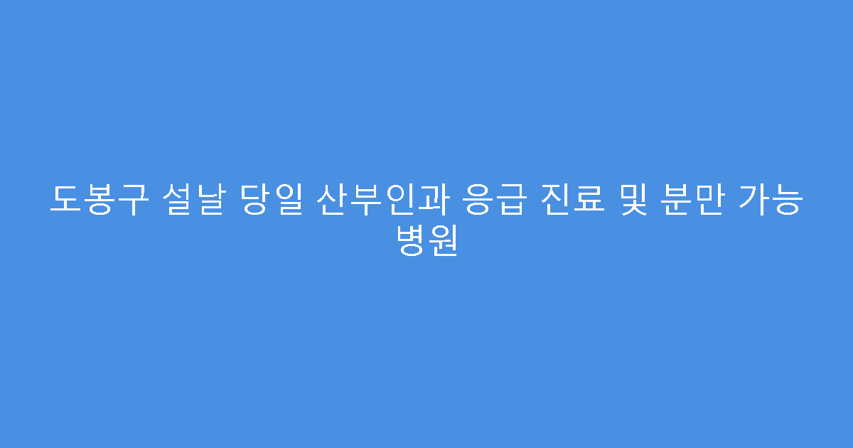 도봉구 설날 당일 산부인과 응급 진료 및 분만 가능 병원