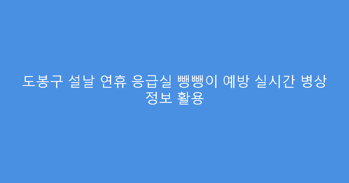 도봉구 설날 연휴 응급실 뺑뺑이 예방 실시간 병상 정보 활용