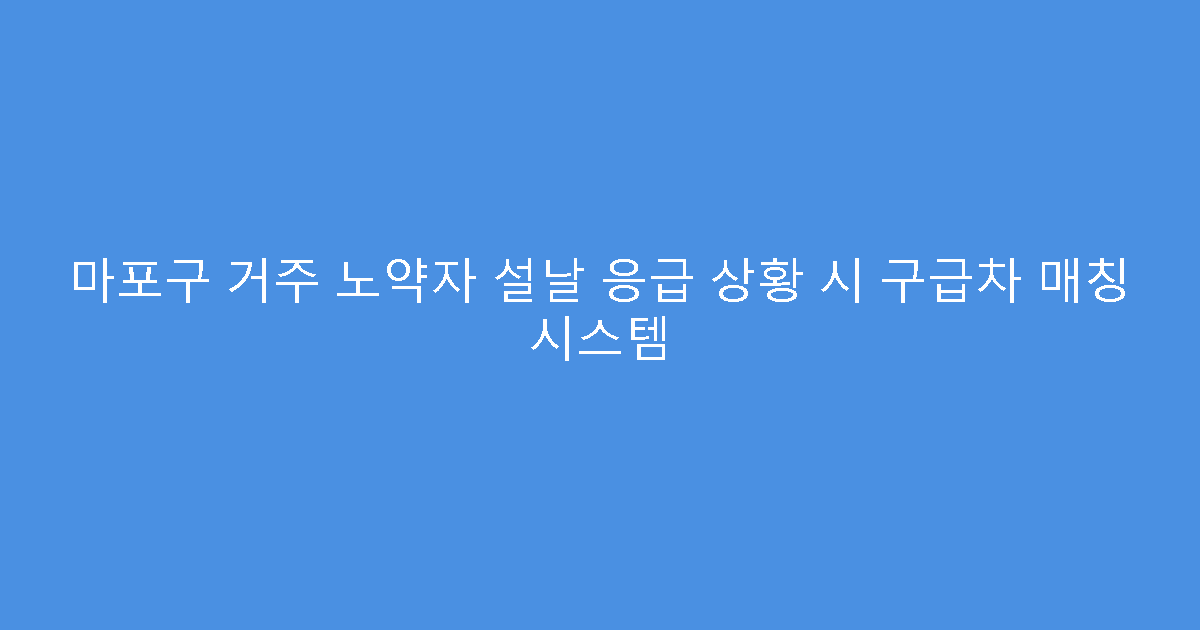 마포구 거주 노약자 설날 응급 상황 시 구급차 매칭 시스템