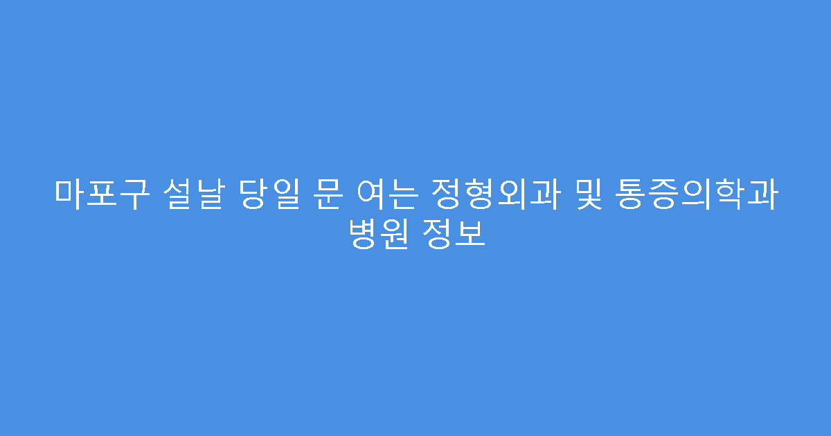 마포구 설날 당일 문 여는 정형외과 및 통증의학과 병원 정보