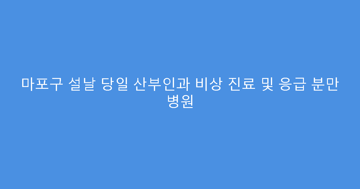 마포구 설날 당일 산부인과 비상 진료 및 응급 분만 병원
