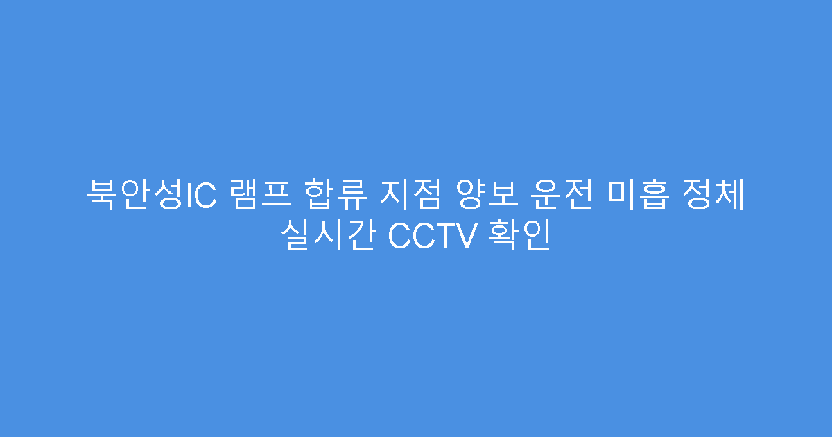 북안성IC 램프 합류 지점 양보 운전 미흡 정체 실시간 CCTV 확인