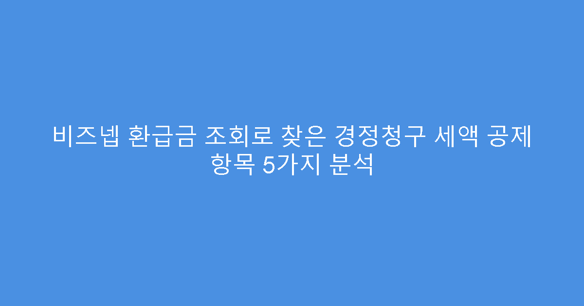 비즈넵 환급금 조회로 찾은 경정청구 세액 공제 항목 5가지 분석